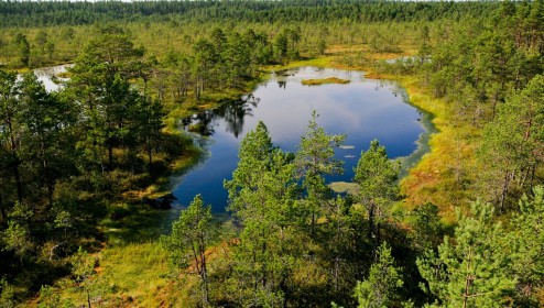 Top 9 Coolest Abandoned Places in Estonia | Traveller Tours Blog